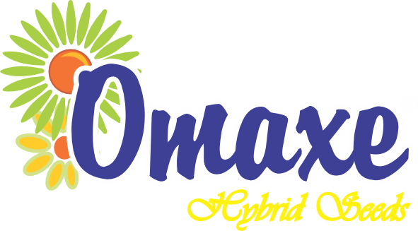 Omaxe Hybrid Seeds