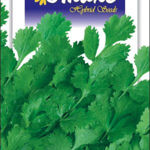 CORIANDER IMP MEHAK, AVG 20 GM SEEDS